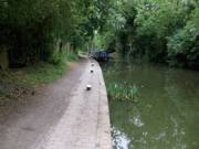 Up to 57' 1" / 17.40m mooring at Market Harborough Towpath L1 Leisure available now